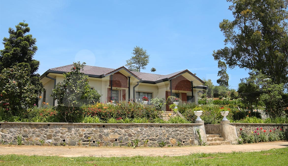 Premium Residential Villa