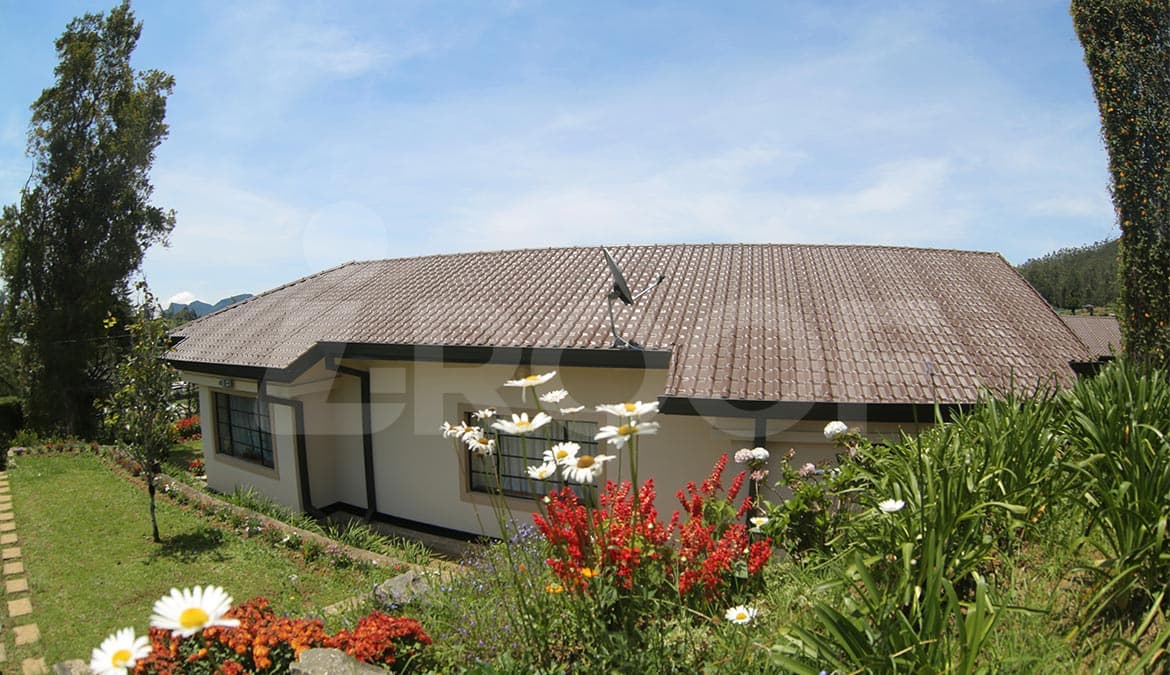 Premium Residential Villa Detail